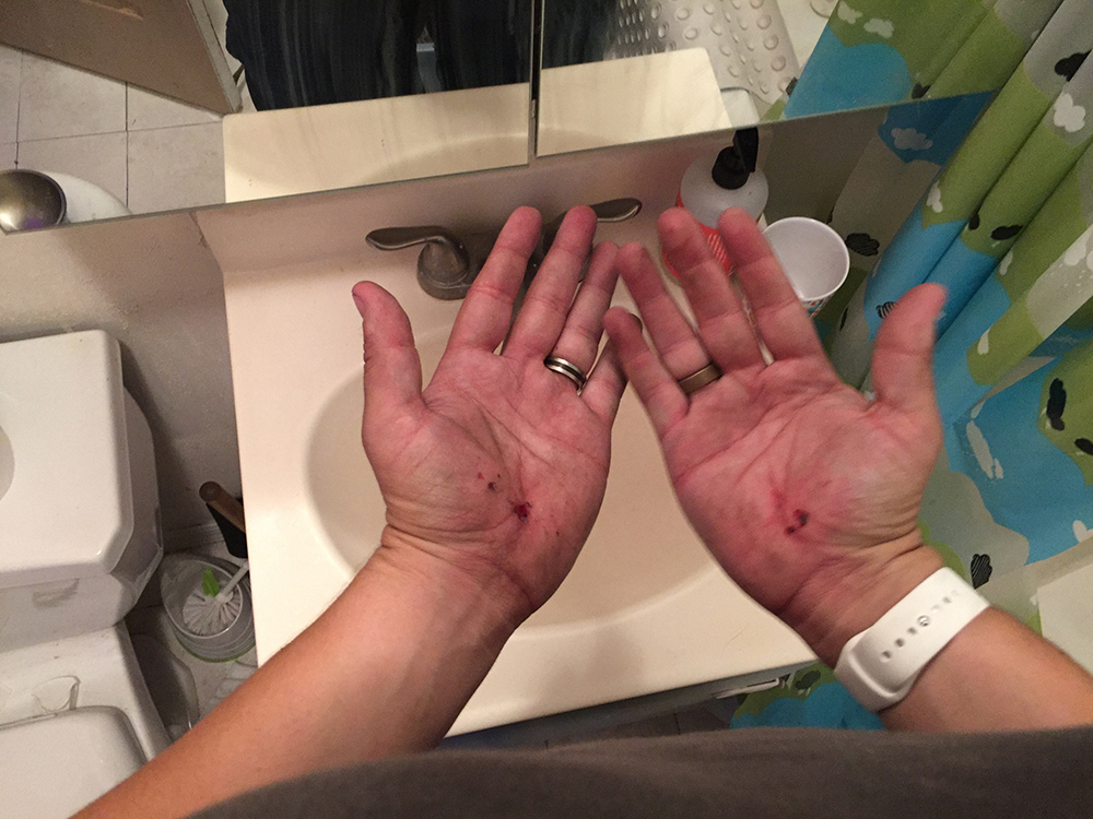 2015-08-04 18.47.01-small.jpg